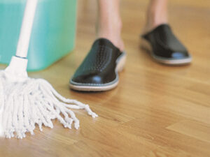 Cleaning Products